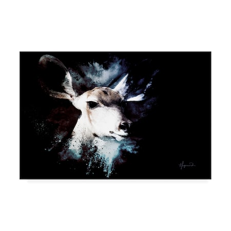 Philippe Hugonnard 'Wild Explosion Collection - The Impala II' Canvas Art,16x24